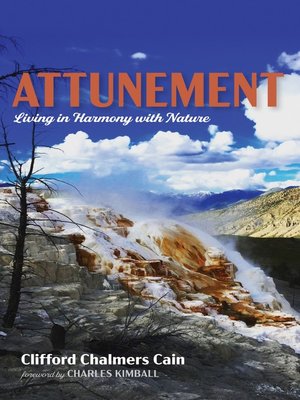 cover image of Attunement